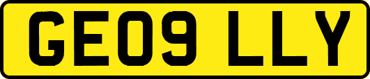 GE09LLY