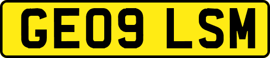GE09LSM