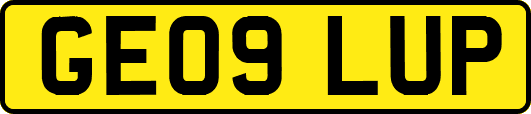 GE09LUP