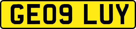 GE09LUY