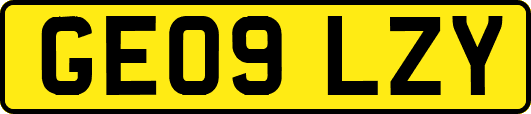GE09LZY
