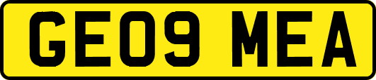 GE09MEA