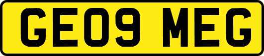 GE09MEG