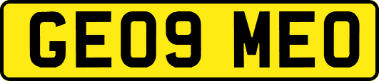 GE09MEO