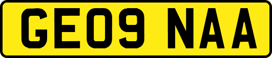 GE09NAA