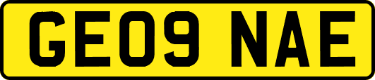 GE09NAE