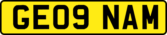 GE09NAM