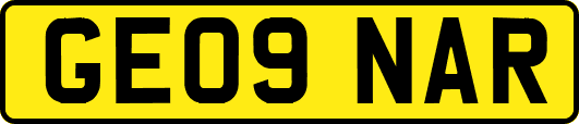 GE09NAR