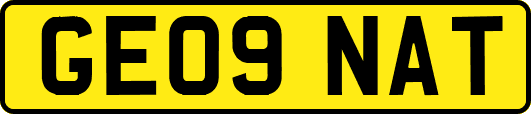 GE09NAT