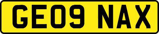 GE09NAX