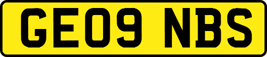GE09NBS