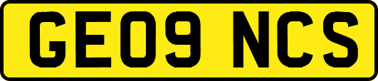 GE09NCS