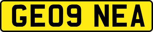 GE09NEA