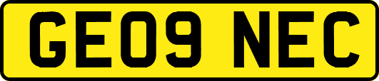 GE09NEC