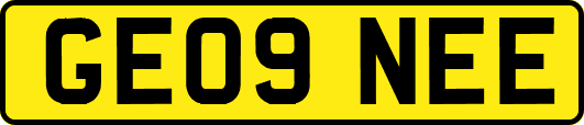 GE09NEE