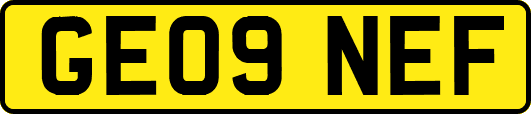 GE09NEF