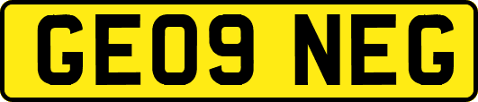 GE09NEG