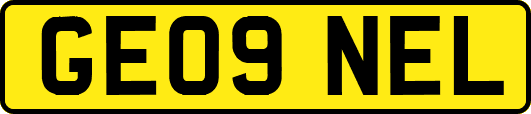 GE09NEL