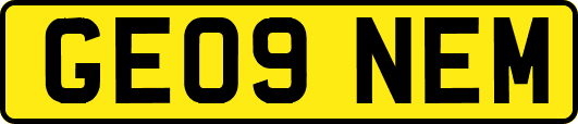 GE09NEM