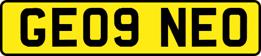GE09NEO