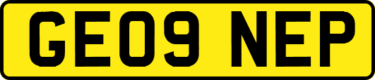 GE09NEP