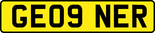 GE09NER