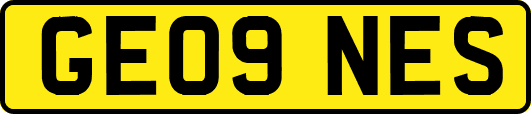 GE09NES