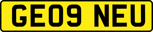 GE09NEU