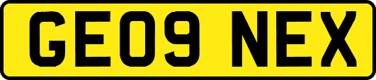 GE09NEX