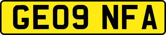GE09NFA