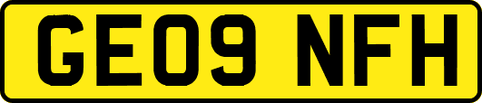 GE09NFH