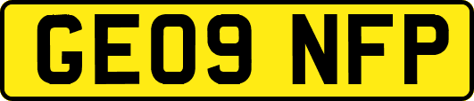 GE09NFP