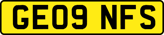GE09NFS