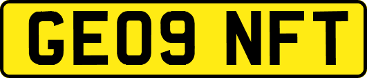 GE09NFT