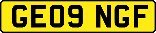 GE09NGF