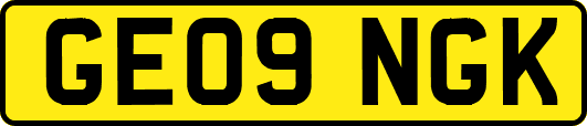 GE09NGK