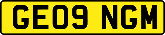 GE09NGM