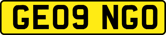 GE09NGO