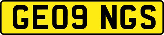 GE09NGS