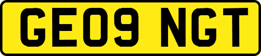 GE09NGT