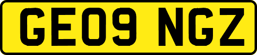 GE09NGZ