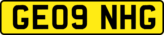GE09NHG