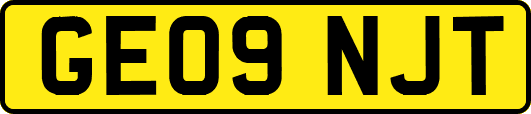 GE09NJT