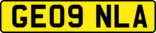 GE09NLA