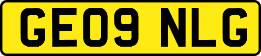 GE09NLG
