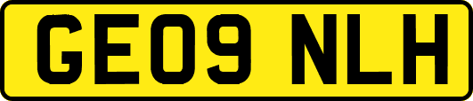 GE09NLH