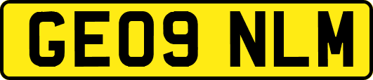 GE09NLM