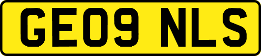 GE09NLS