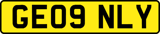 GE09NLY