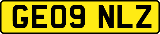 GE09NLZ